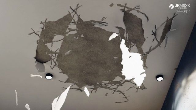 JK MAXX video by designbox