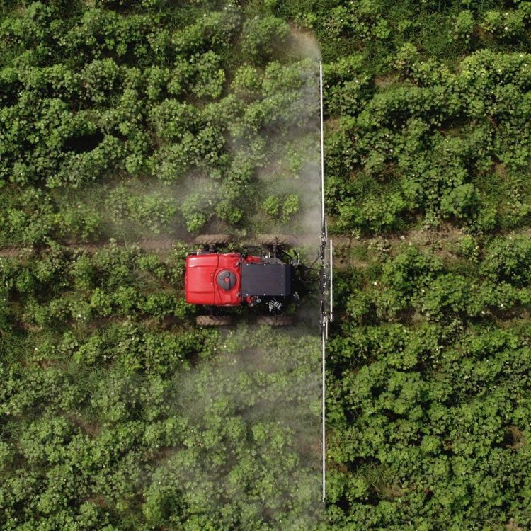 Agricultural machine in field