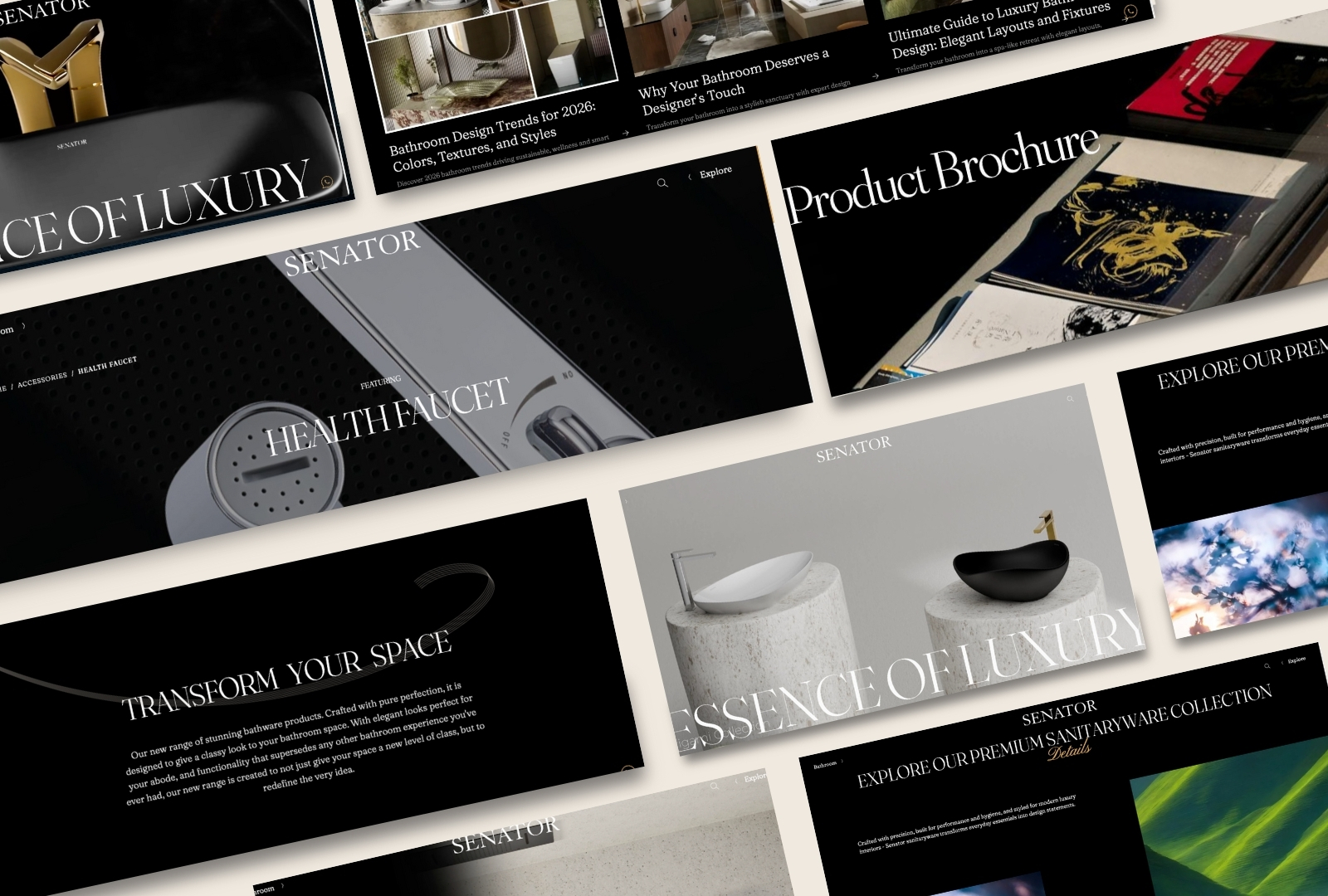 senator website design and development by designbox