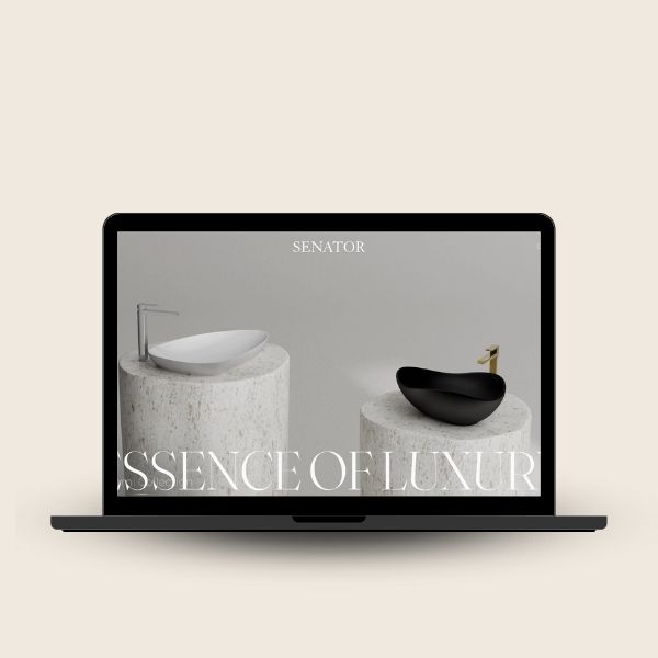 senator website design and development by designbox