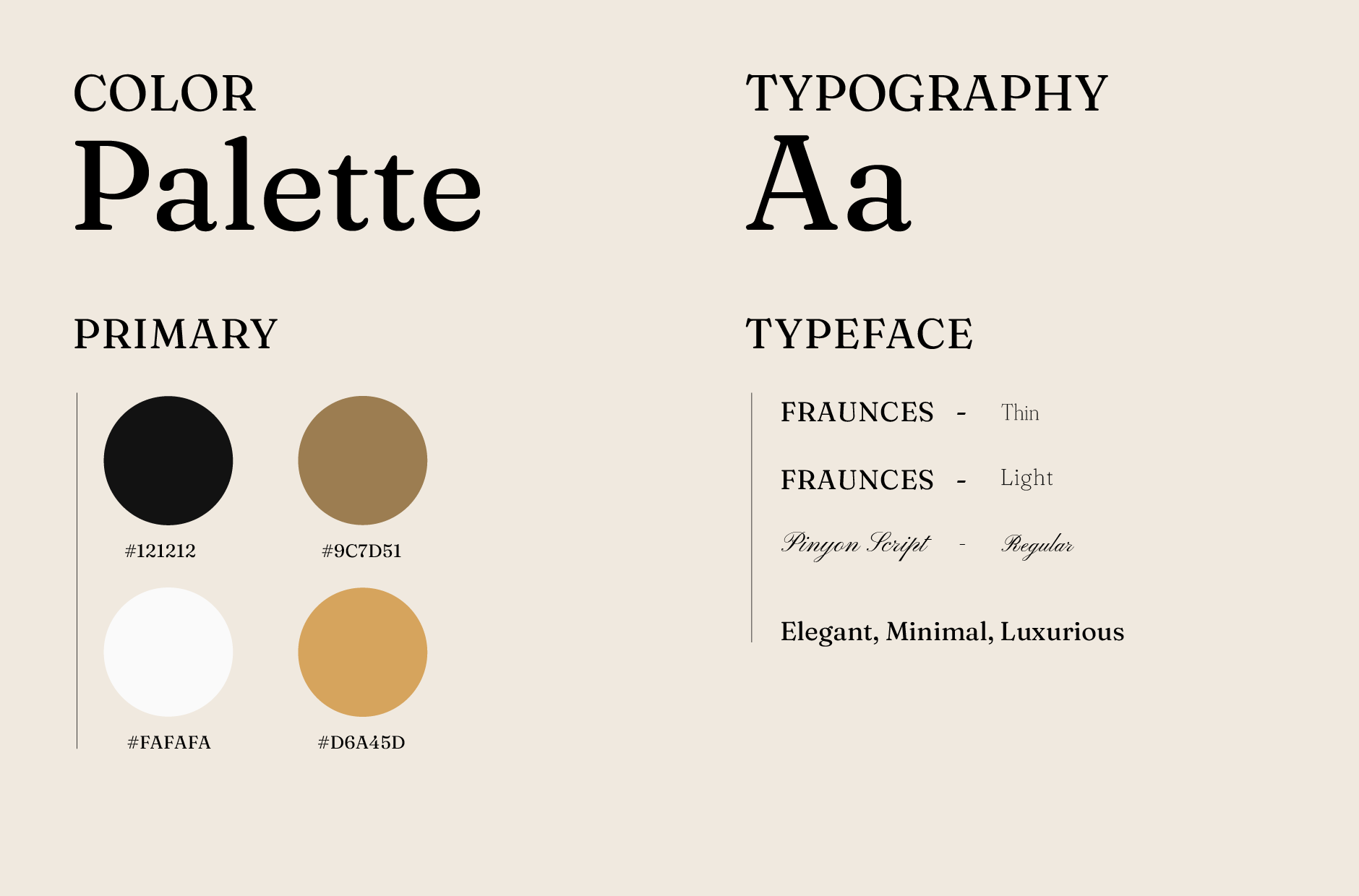 senator website design and development by designbox